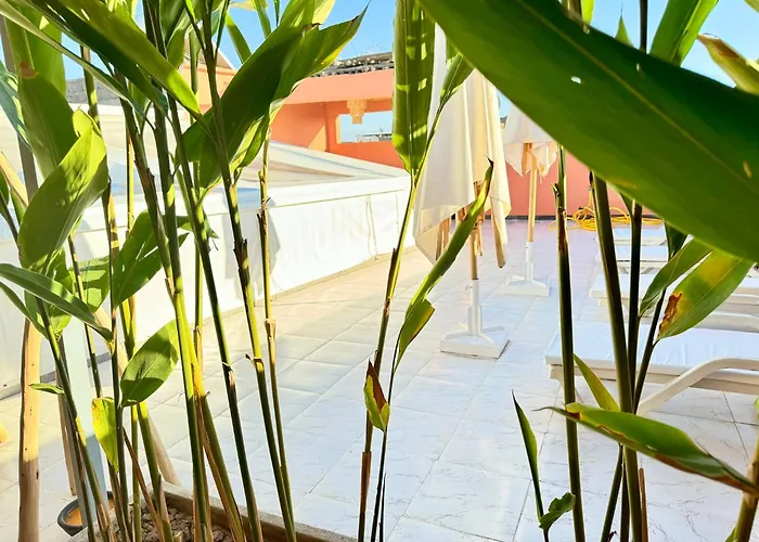 Riad Arrahma